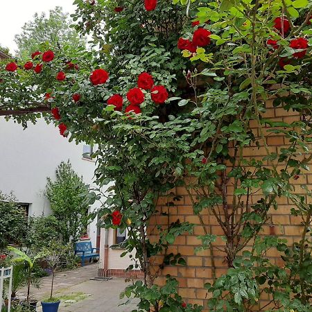 Fewo Rosenbluete Am Stadtpark Wittenberg Kültér fotó