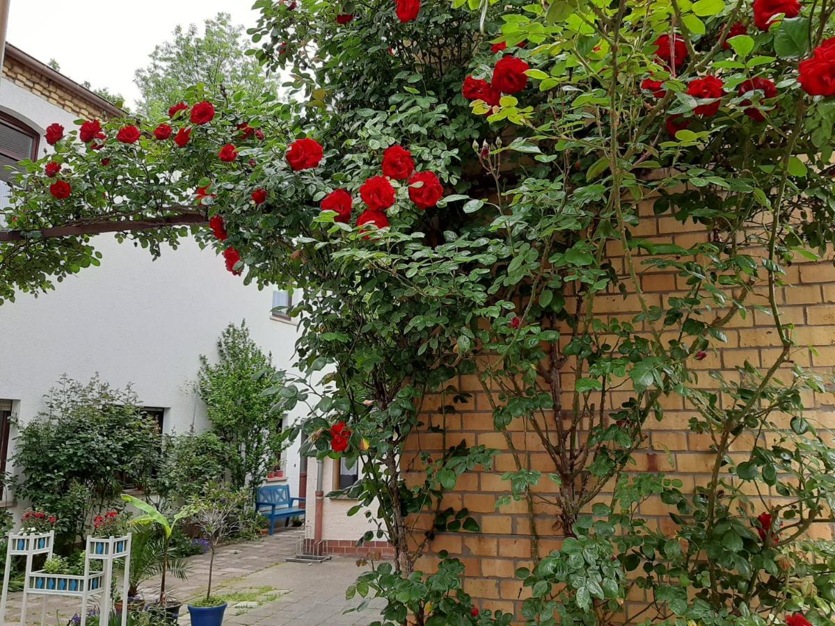 Fewo Rosenbluete Am Stadtpark Wittenberg Kültér fotó