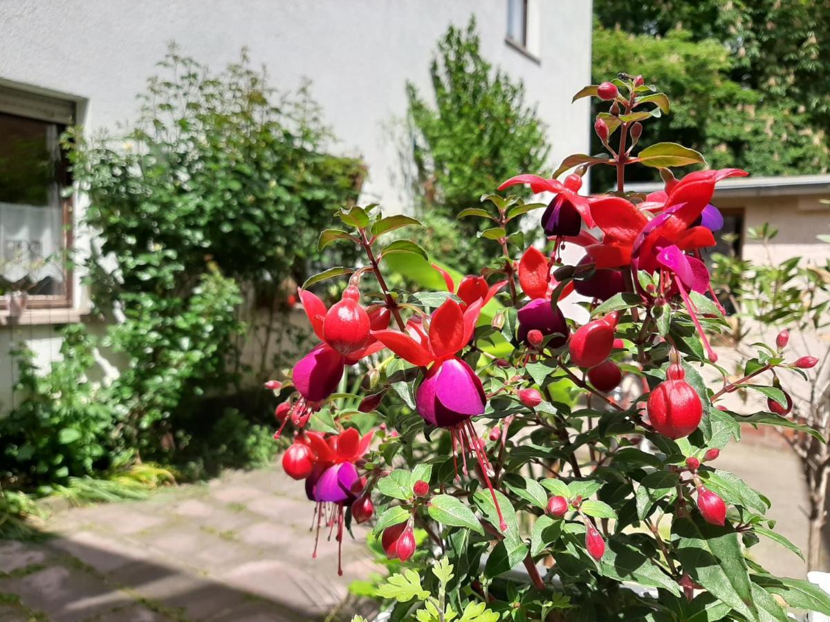 Fewo Rosenbluete Am Stadtpark Wittenberg Kültér fotó